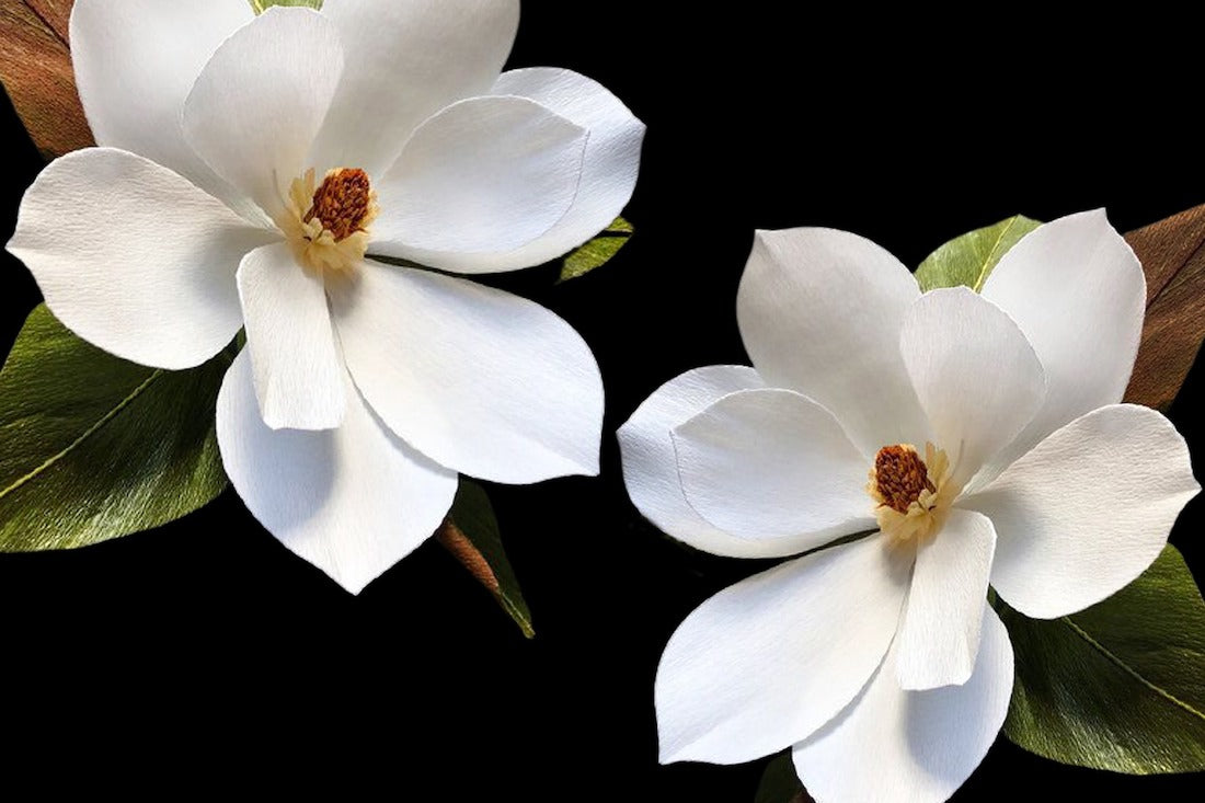 「気持ち」をどう支えるか?